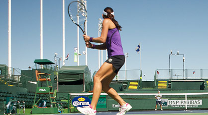 nivo slider image